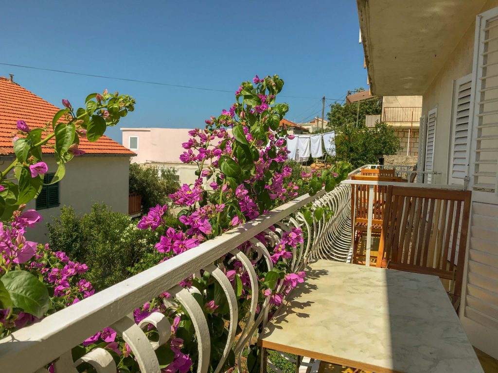 Photo 20-06-2019, 10 55 09_edited
